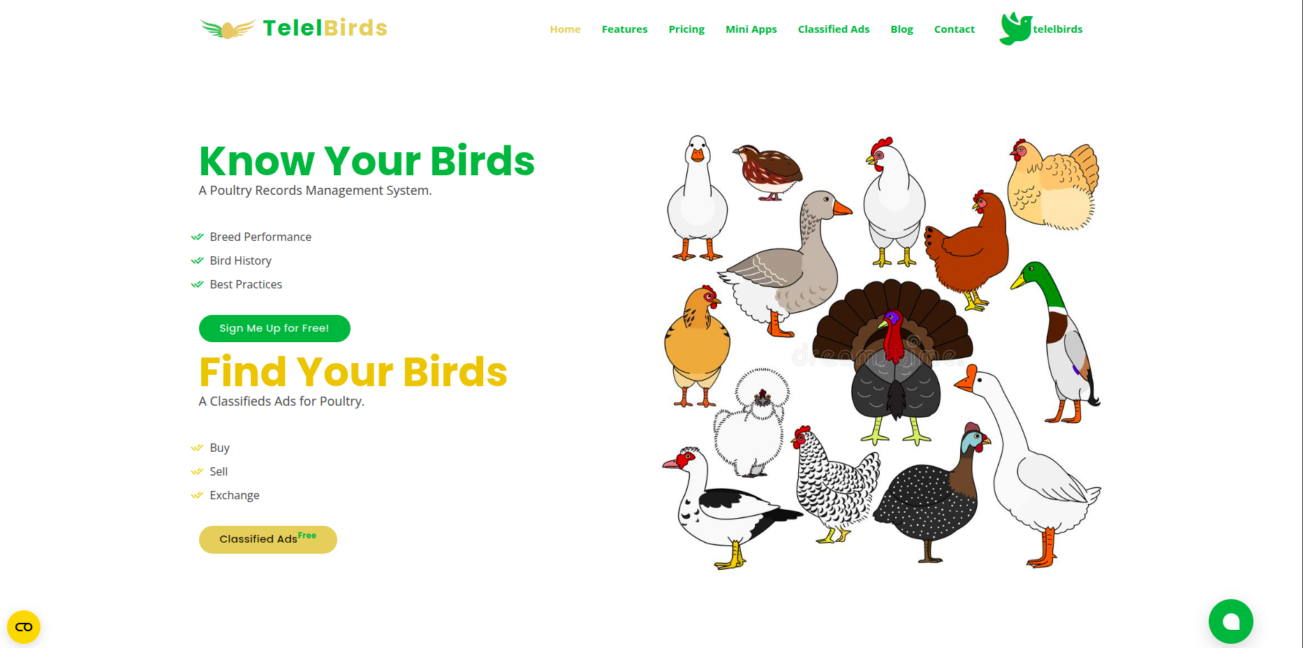TelelBirds startup image